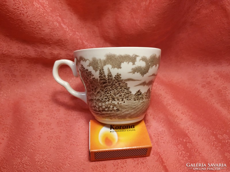 Ironstone angol, jelenetes porcelán kávés csésze