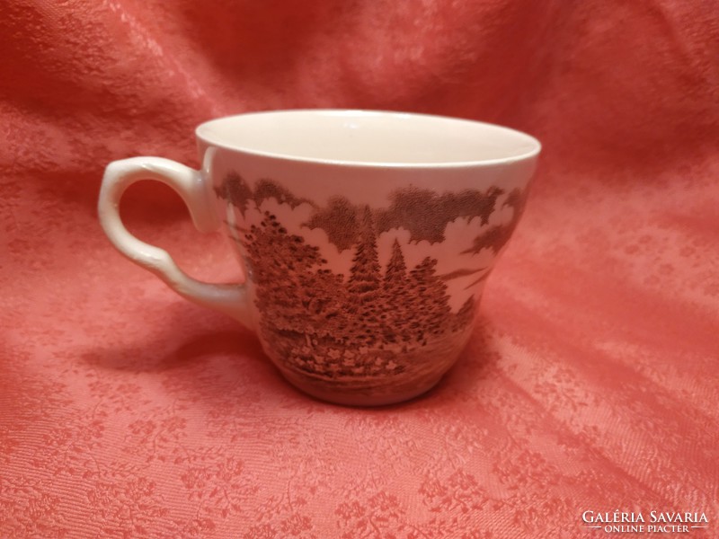 Ironstone English, scenic porcelain coffee cup