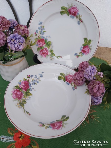 Beautiful floral flat + deep plates plate porcelain rosy floral collection piece