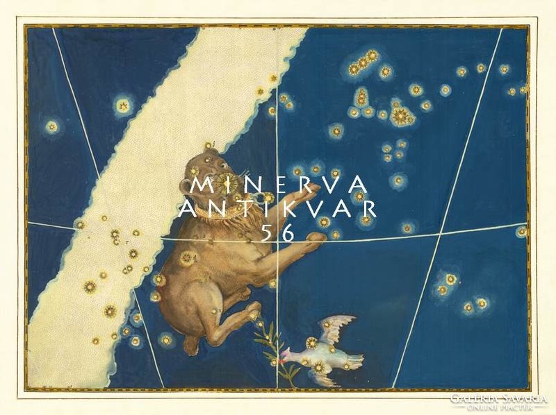 Canis Major Nagykutya Orion csillagkép csillagászat görög mitológia REPRINT J.Bayer Uranometria 1625