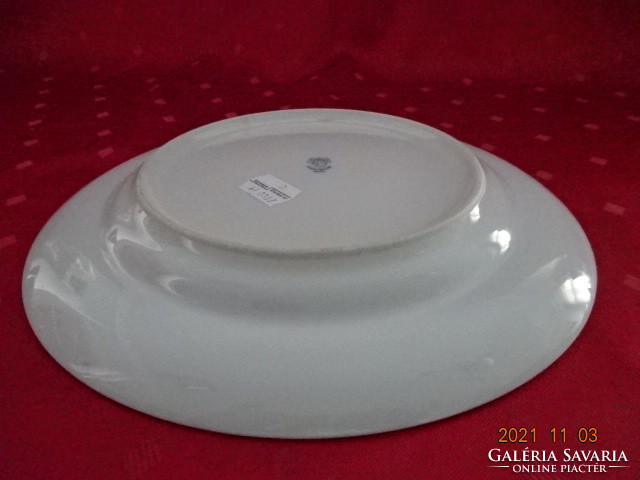 Plain porcelain flat plate with rosehip pattern, diameter 24 cm. He has!