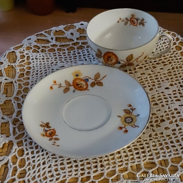 Antique German Thomas bavaria porcelain tea set with unique special pattern, marked, flawless