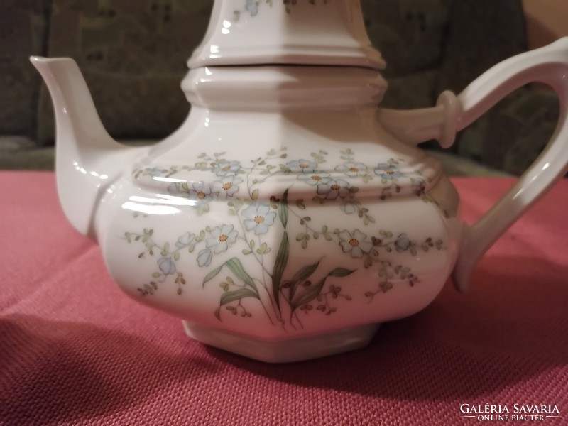 German porcelain tea set
