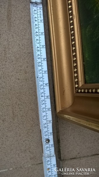 Szép festmény H.Gy: jelzéssel 58x43 cm kerettel