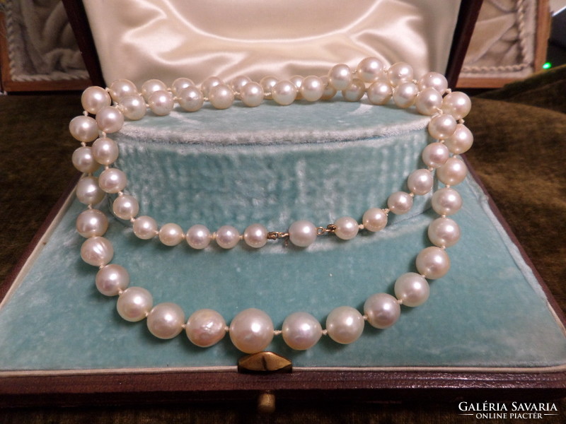 A real saltwater cultured pearl string with a gold clasp - made of large grains