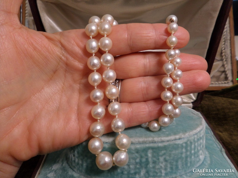 A real saltwater cultured pearl string with a gold clasp - made of large grains