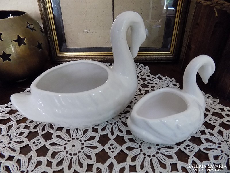 Swans in pairs