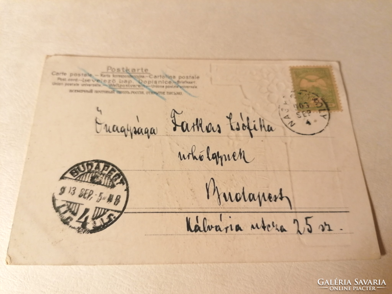 Dombornyomott ibolyás levelezőlap 1903.  (24)