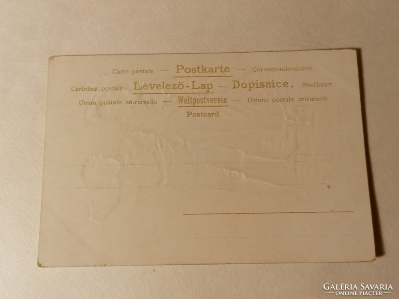 Dombornyomott litográf fagyöngyös, négylevelű lóherés üdvözlőlap 1901  (30.)