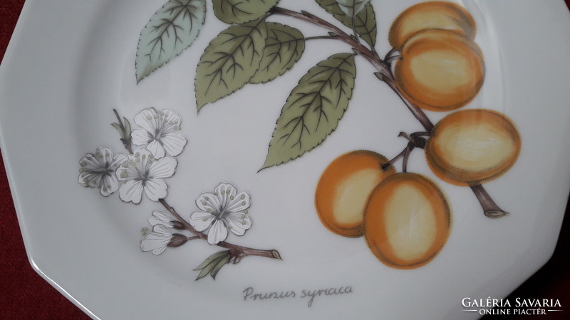 Fruity porcelain plate, wall plate