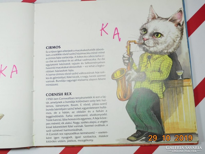 Macskák mesekönyv