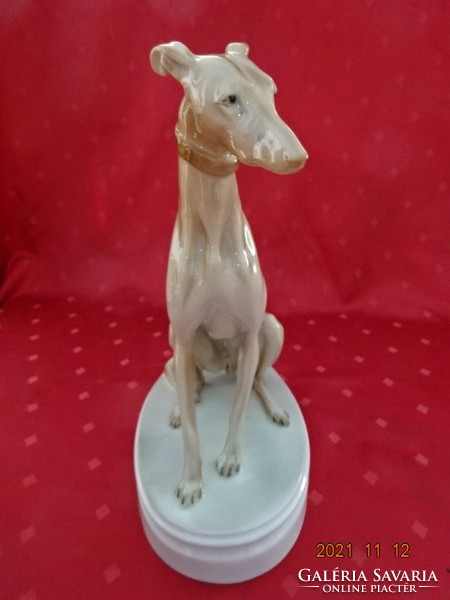 Zsolnay porcelain figurine, markup béla designer hand-painted sitting greyhound, height 26.5 cm. He has!