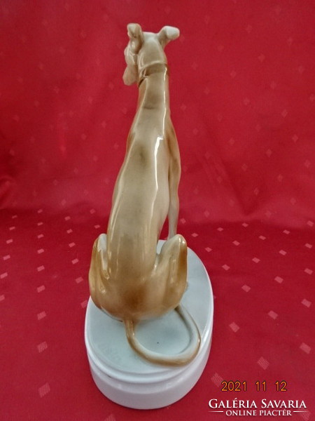 Zsolnay porcelain figurine, markup béla designer hand-painted sitting greyhound, height 26.5 cm. He has!