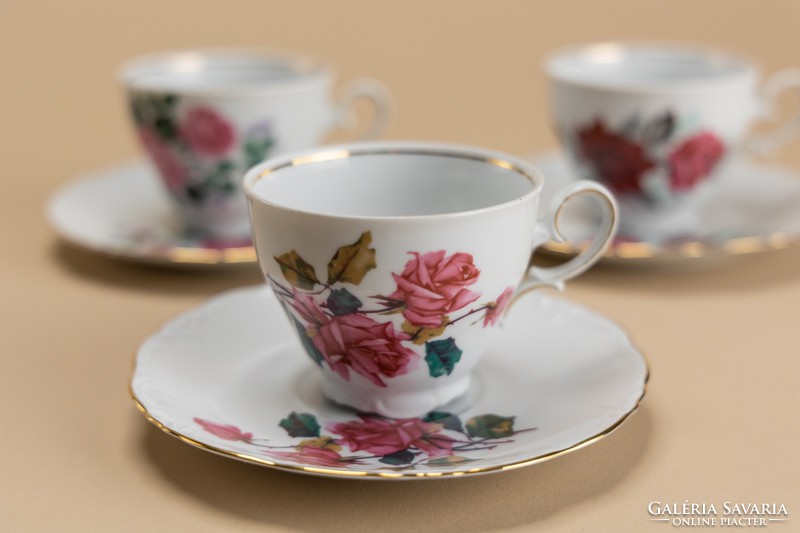 Bavaria schirnding porcelain cups with placemat plates