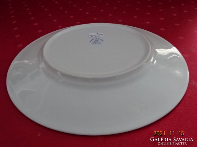 Fine royal porcelain, Carolina. Polish flat plate, six pieces, diameter 26 cm. He has!