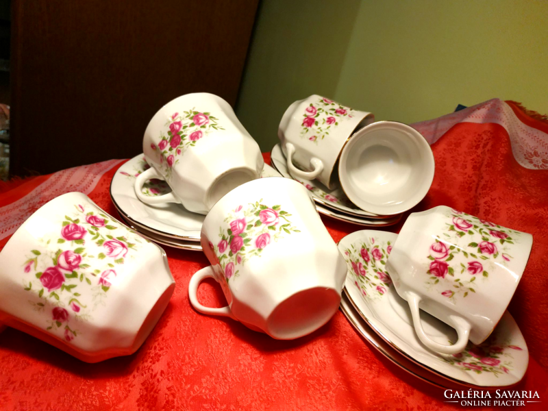 Floral patterned porcelain coffee set (6 eyes).