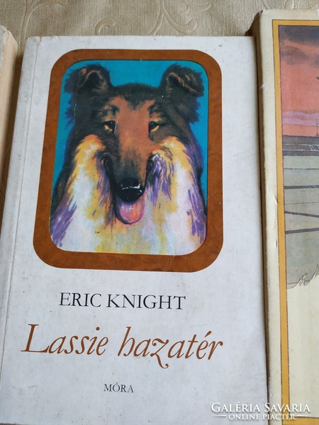 Lassie returns home, lassie puppy book, youth novel for sale 1962, 1976, 1982 edition