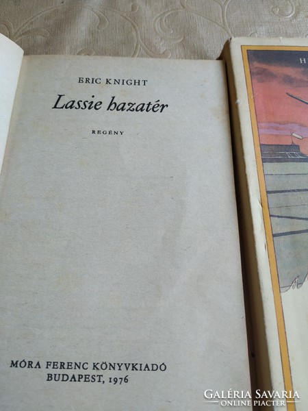 Lassie returns home, lassie puppy book, youth novel for sale 1962, 1976, 1982 edition