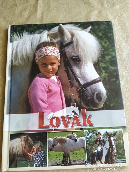 Horses educational book for sale!