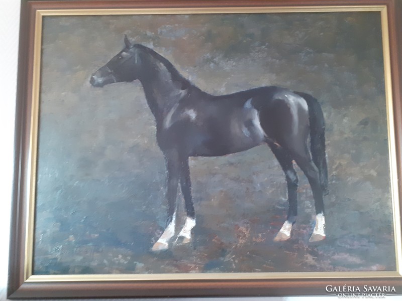 Santhoffer imre- black horse