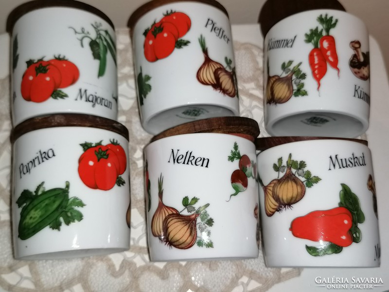 Retro porcelain spice holder set