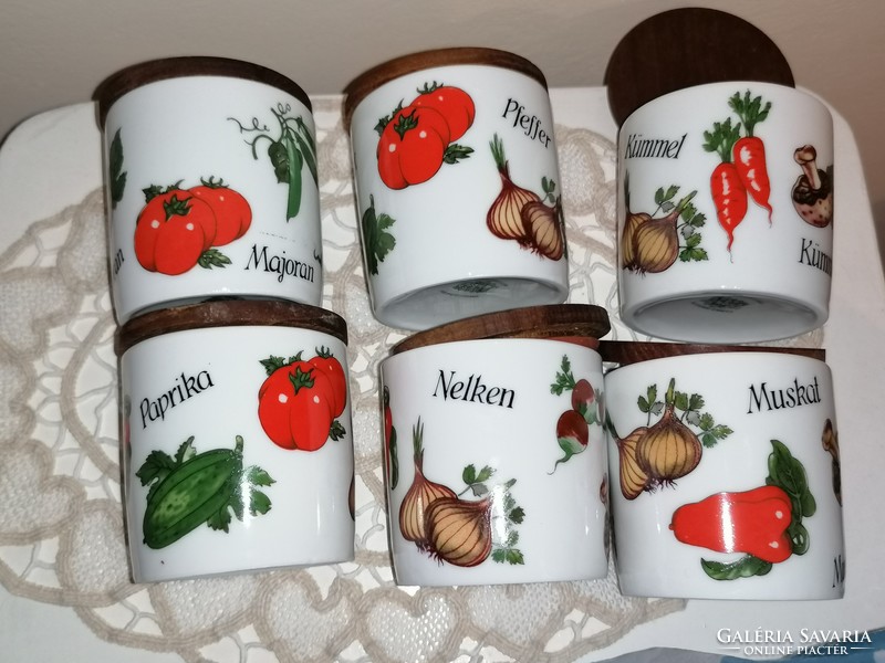 Retro porcelain spice holder set