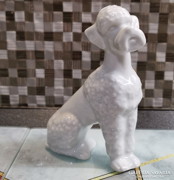 Porcelain white poodle dog