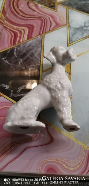 Porcelain white poodle dog