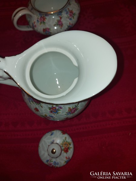Porcelain tea service in French Haviland