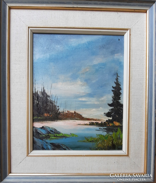 Serene, colorful lake landscape (oil on canvas, frame 39x33 cm) wet landscape, idyllic nature