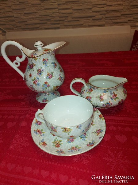 Porcelain tea service in French Haviland