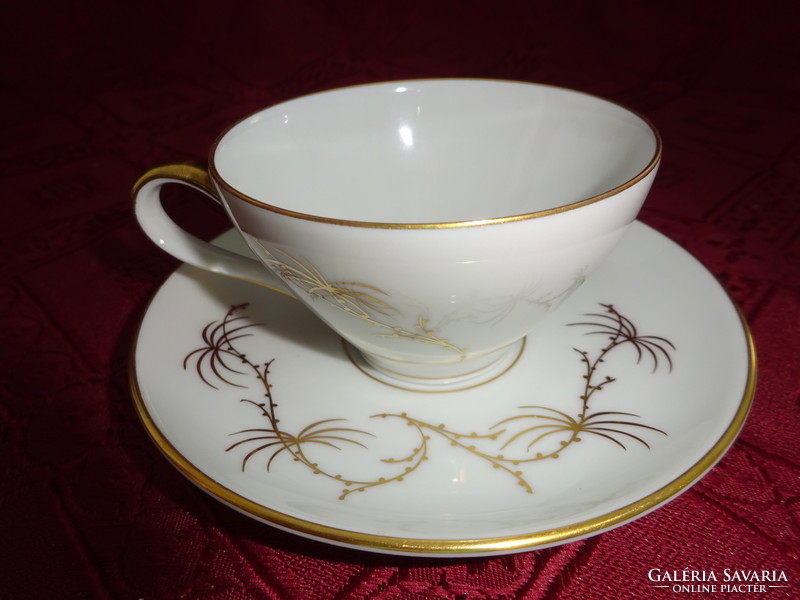 Rosenthal German quality porcelain coffee cup + placemat. He has!