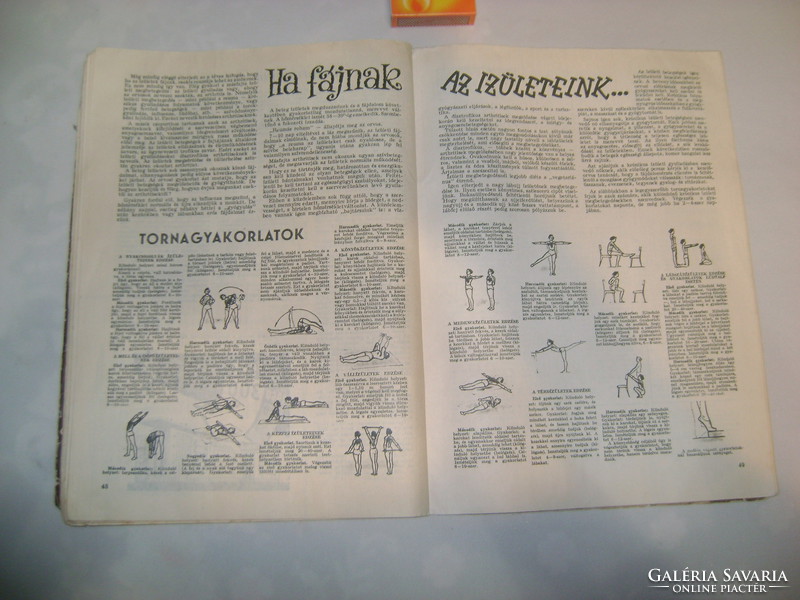 Az asszonyok kézikönyve - 1963 - kézimunka, gyermeknevelés, hasznos tanácsok, kozmetika,...