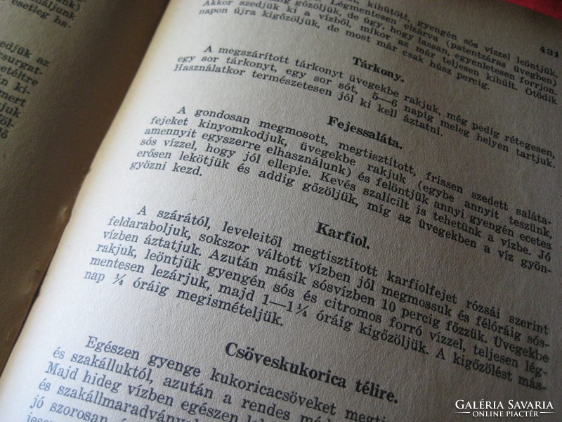 Hungarian elek: the cookbook of the gourmet master 1932