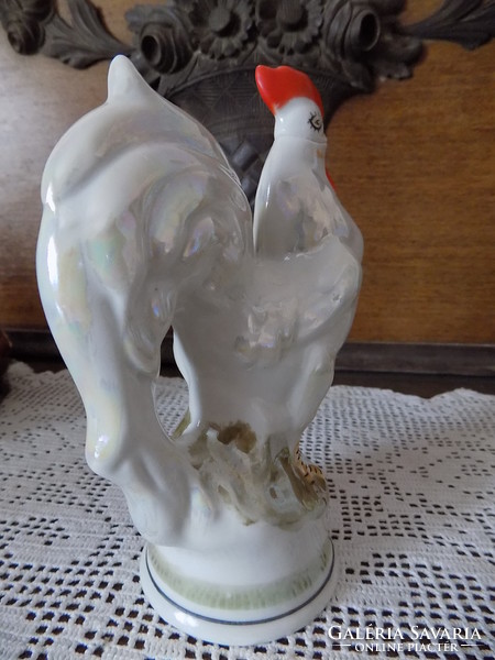 Rooster pouring