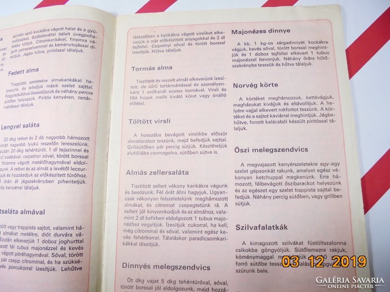 Fakanál magazin recept újság - 101 gyümölcsös ételrecept (keresztrejtvények, fejtörők) 1985-ből