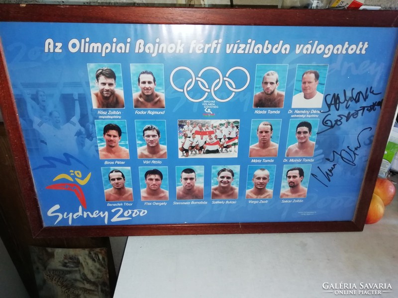 The Olympic champion men's water polo team from Sydney signed in 2000