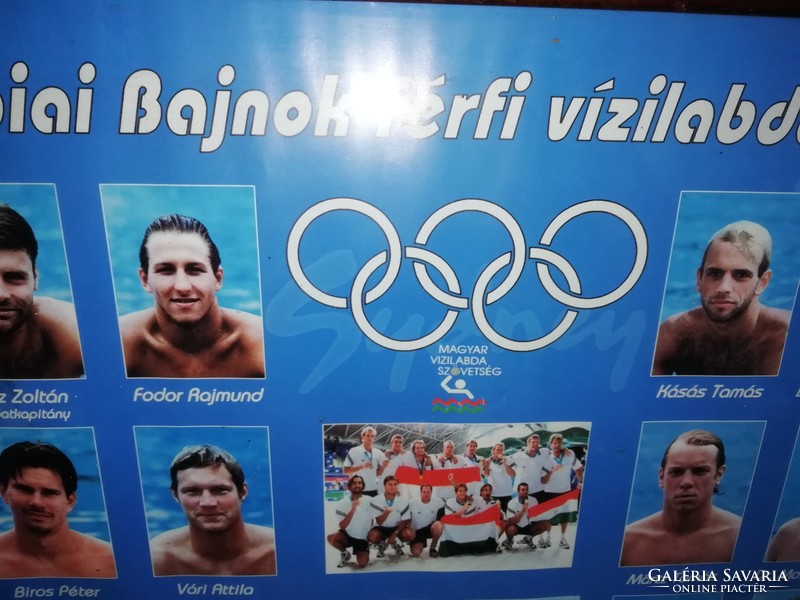 The Olympic champion men's water polo team from Sydney signed in 2000