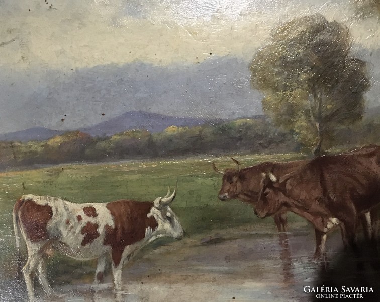 H. Wagner ?? Austrian or German artwork depicting cows !!!