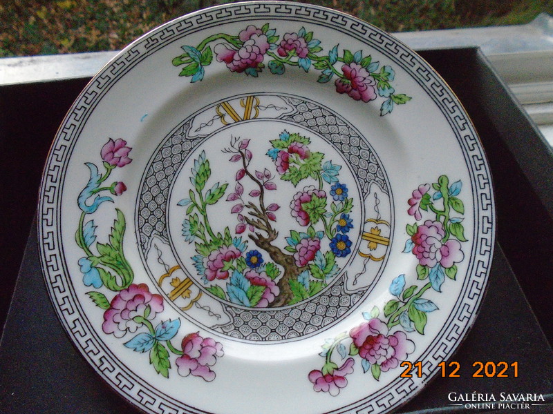 Antique English Aynsley Hand Painted Hand Numbered Decorative Oriental Floral Pattern Plate