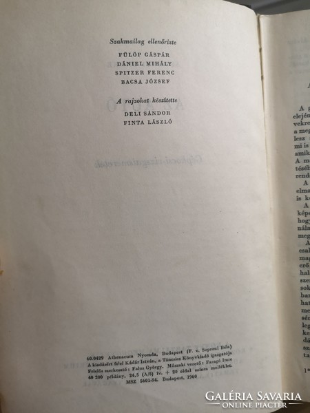 Surányi Endre, Az autó c. könyv 1960.Athenaeum Kiadó, könyvritkaság