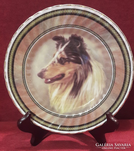 Porcelain plate with Scottish Sheepdog, decorative plate with dog