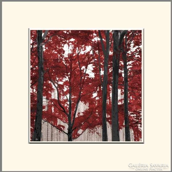 Moira Risen: A fa ékszeres doboz - Vanadinit. Kortárs, szignált fine art nyomat, vérjuhar bíbor erdő