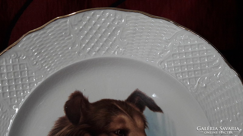 Scottish Shepherd, collie dog porcelain plate, decorative plate
