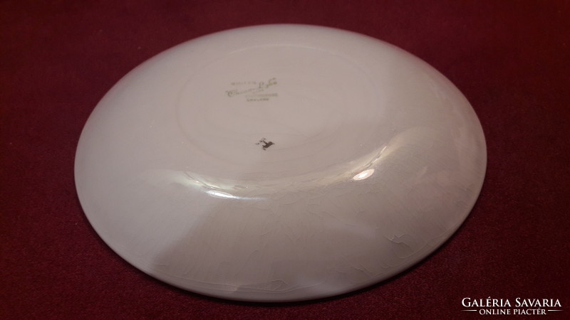 Biedermeier porcelain plate (l1938)