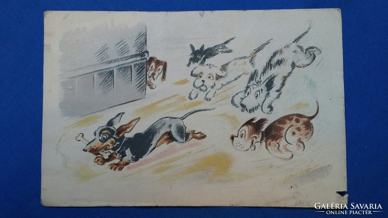 Old funny postcard with dogs