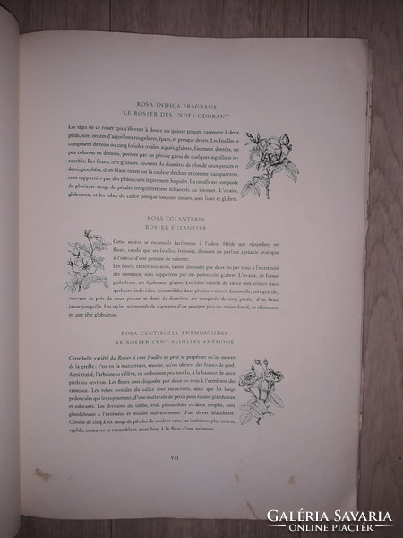 The best of Redoutés Roses rózsa könyv 20 darab rendkívüli nyomattal  litográfia