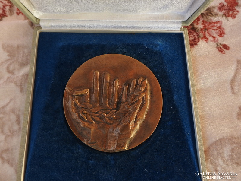 For socialist public education - bronze commemorative medal - plaque - in original box