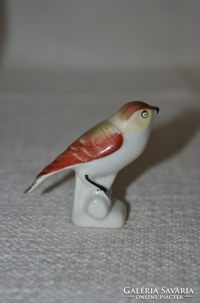 Aquincum bird (dbz 0073)