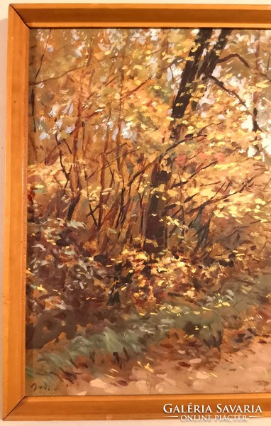 Fk/140 - unknown painter - forest section, oil painting